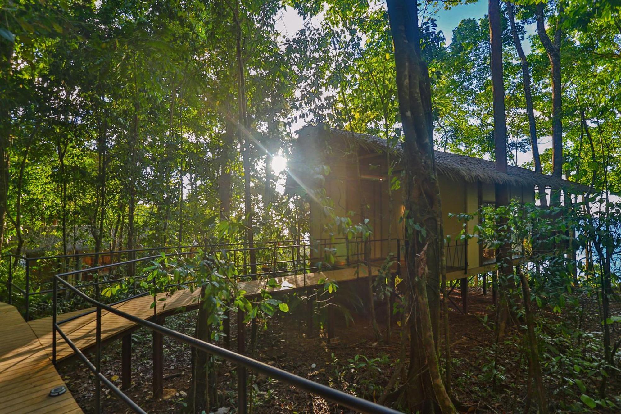 Corcovado Wilderness Lodge By Scp San Pedrillo Zewnętrze zdjęcie