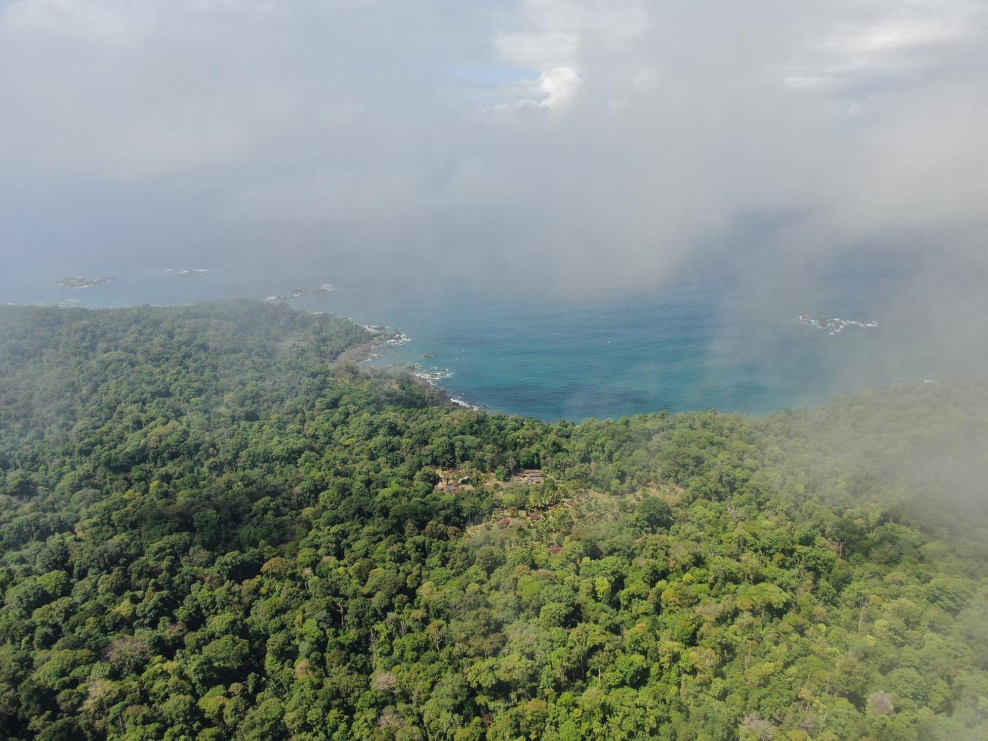 Corcovado Wilderness Lodge By Scp San Pedrillo Zewnętrze zdjęcie
