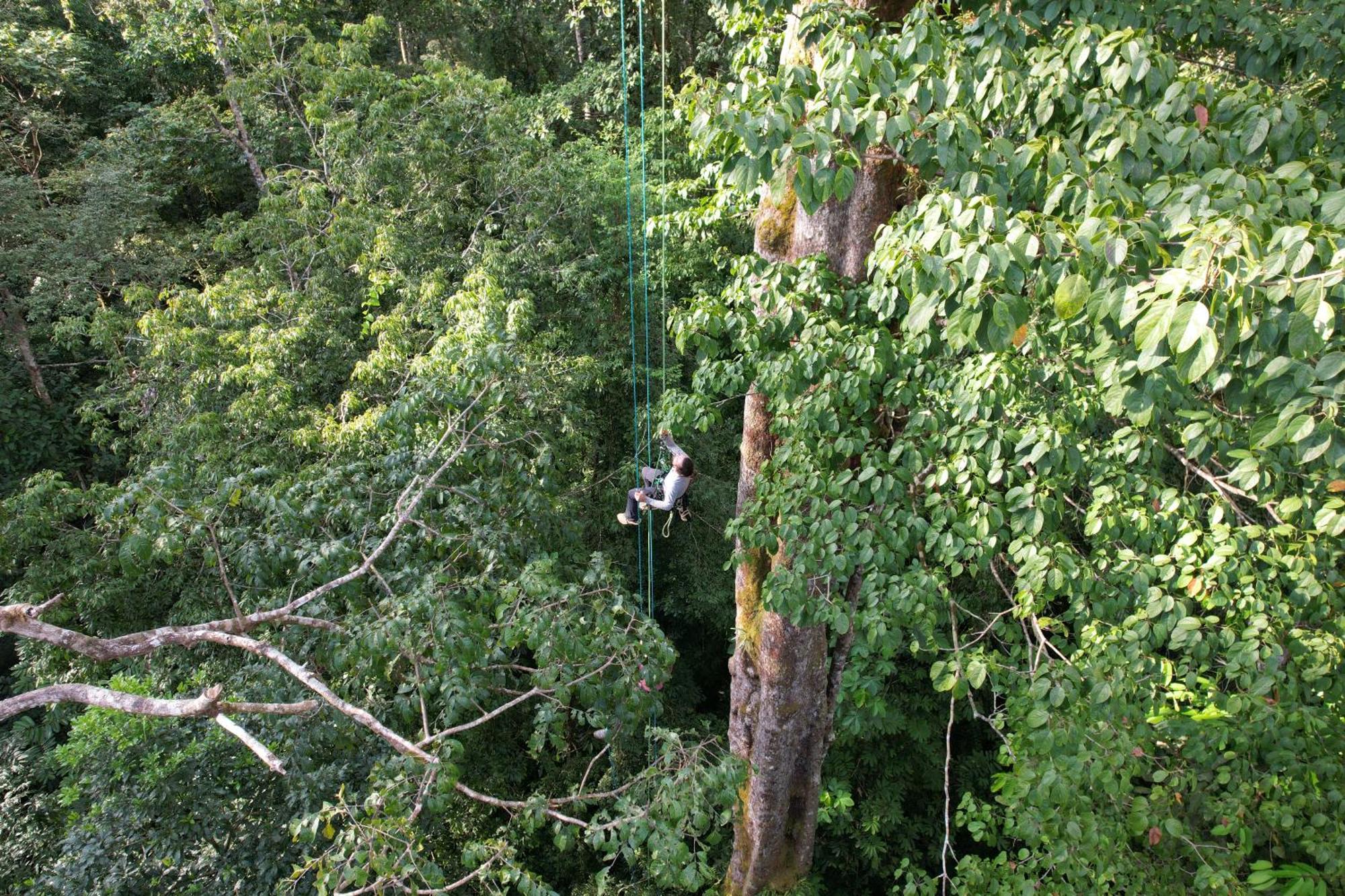 Corcovado Wilderness Lodge By Scp San Pedrillo Zewnętrze zdjęcie