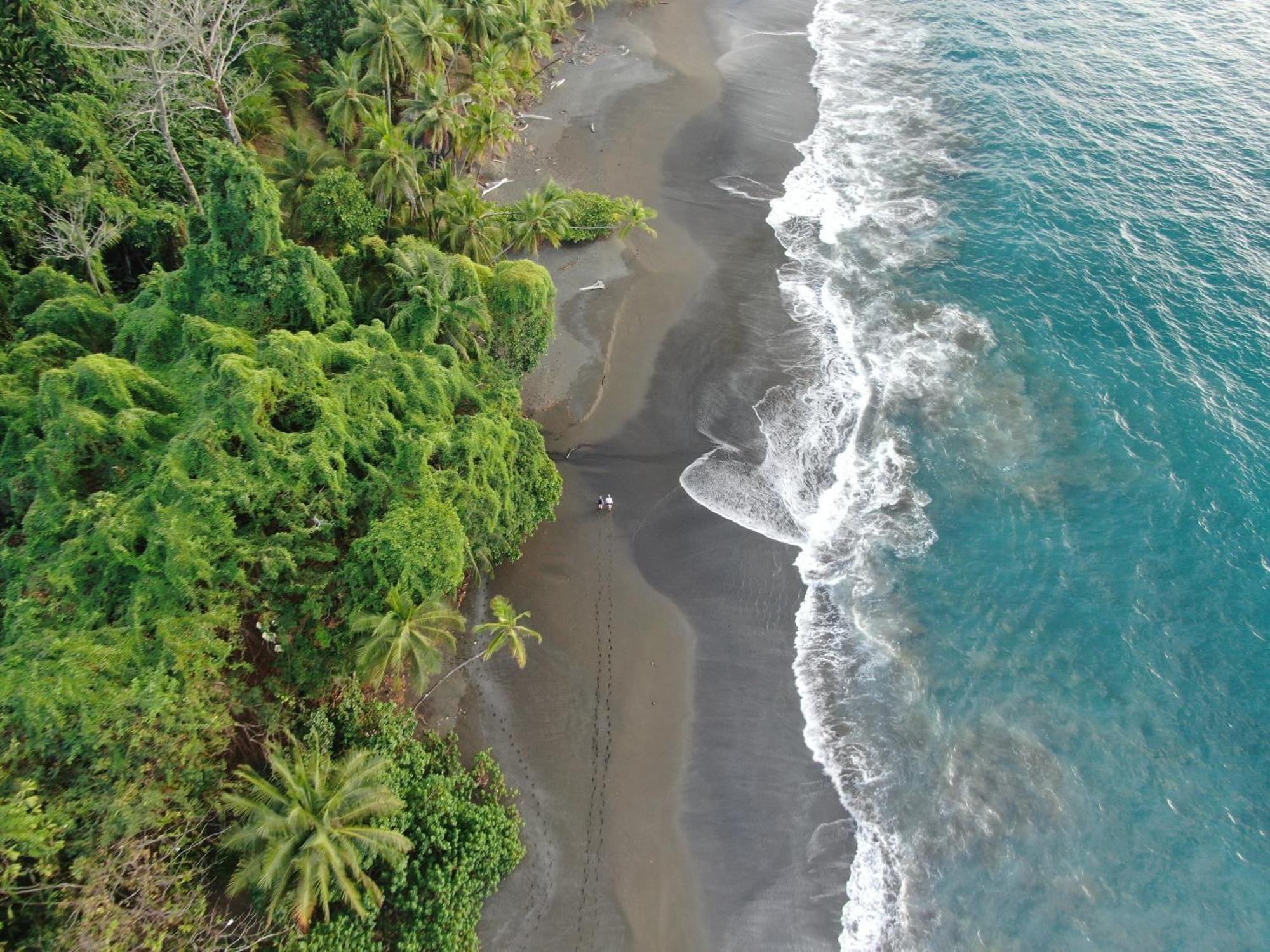 Corcovado Wilderness Lodge By Scp San Pedrillo Zewnętrze zdjęcie