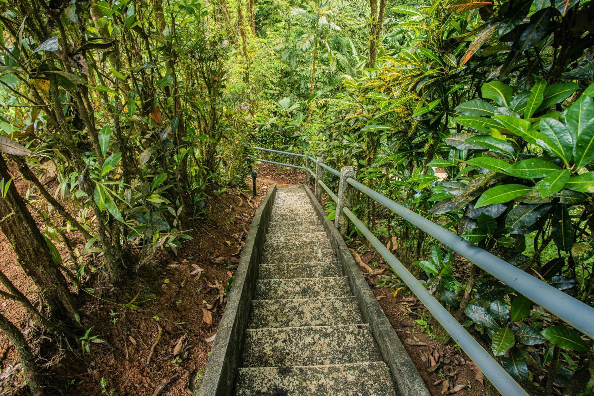 Corcovado Wilderness Lodge By Scp San Pedrillo Zewnętrze zdjęcie