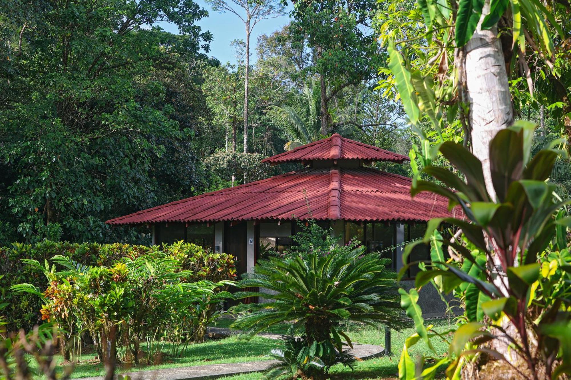 Corcovado Wilderness Lodge By Scp San Pedrillo Zewnętrze zdjęcie
